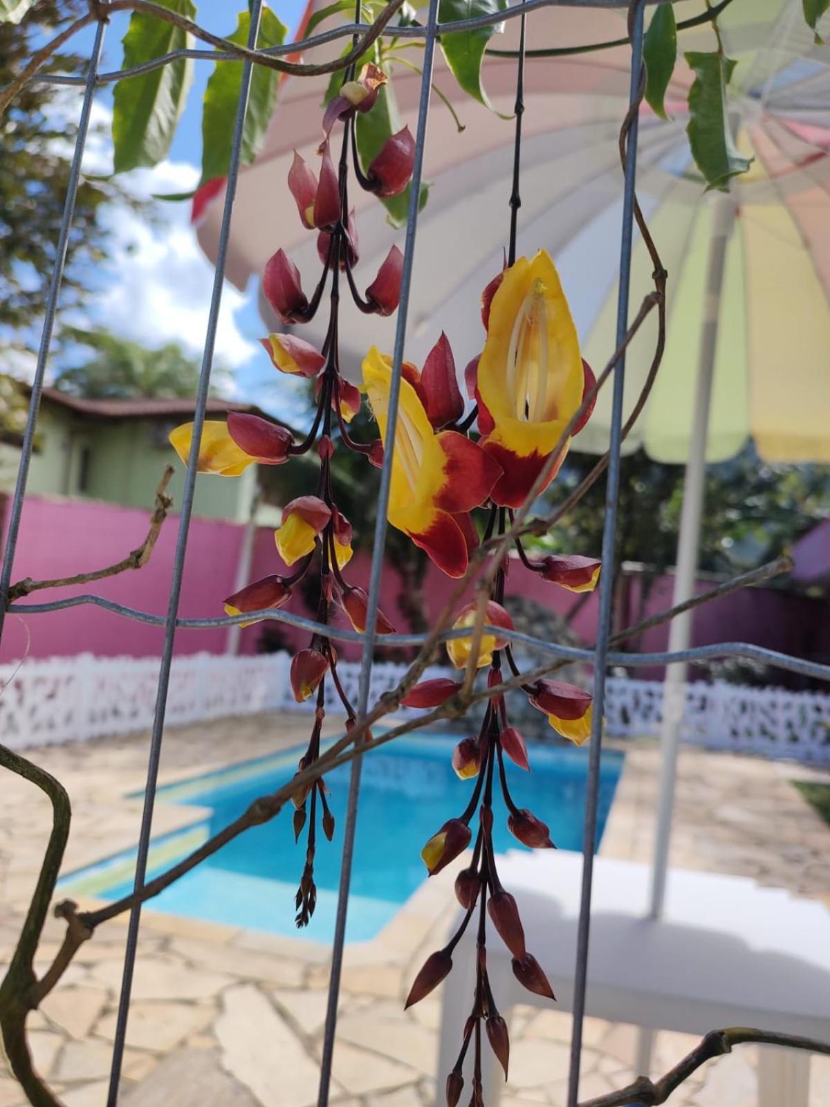 Pousada Nova Primavera Ubatuba Eksteriør bilde